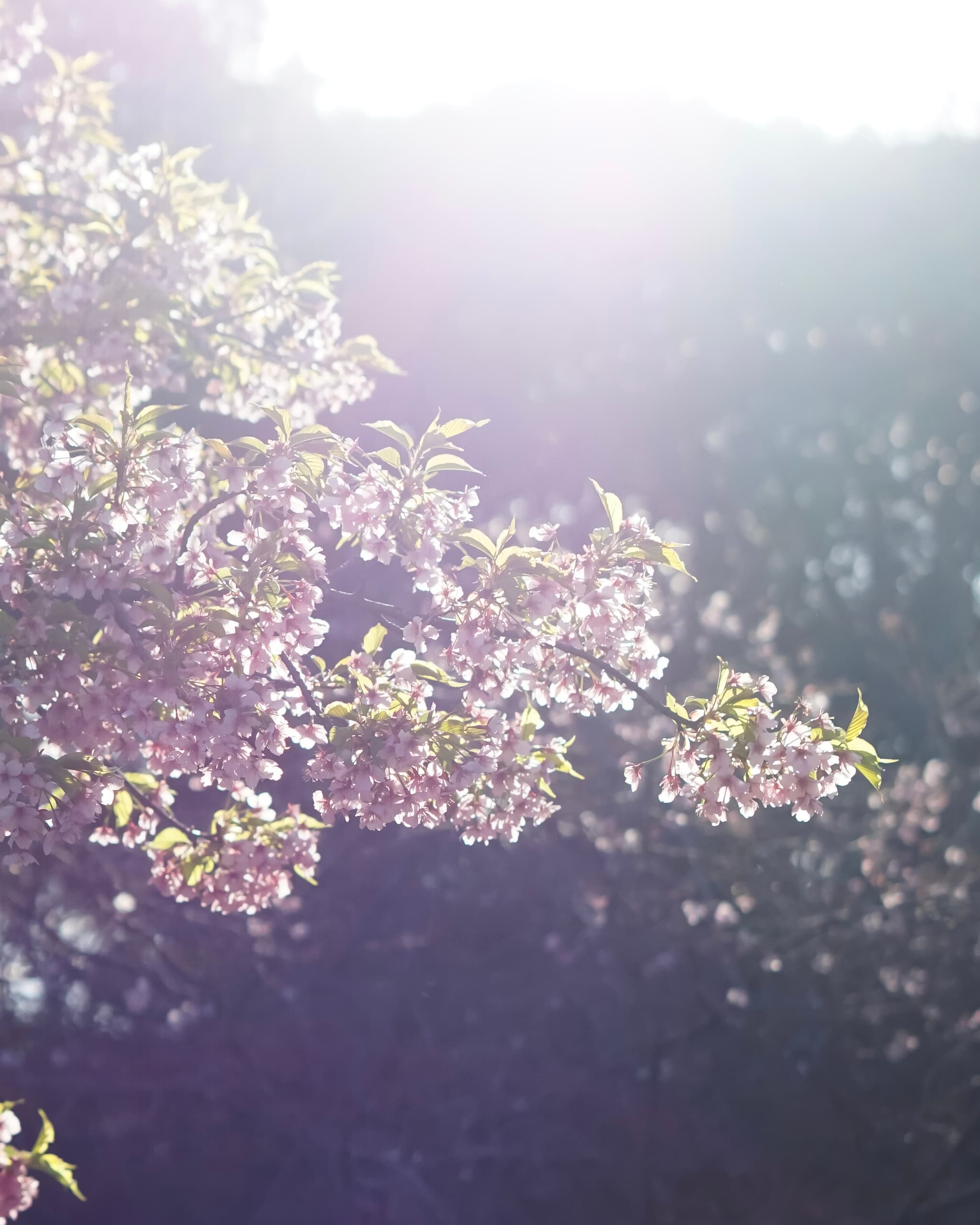 7bd6004b-b570-4989-8a30-ffe432fd5d99