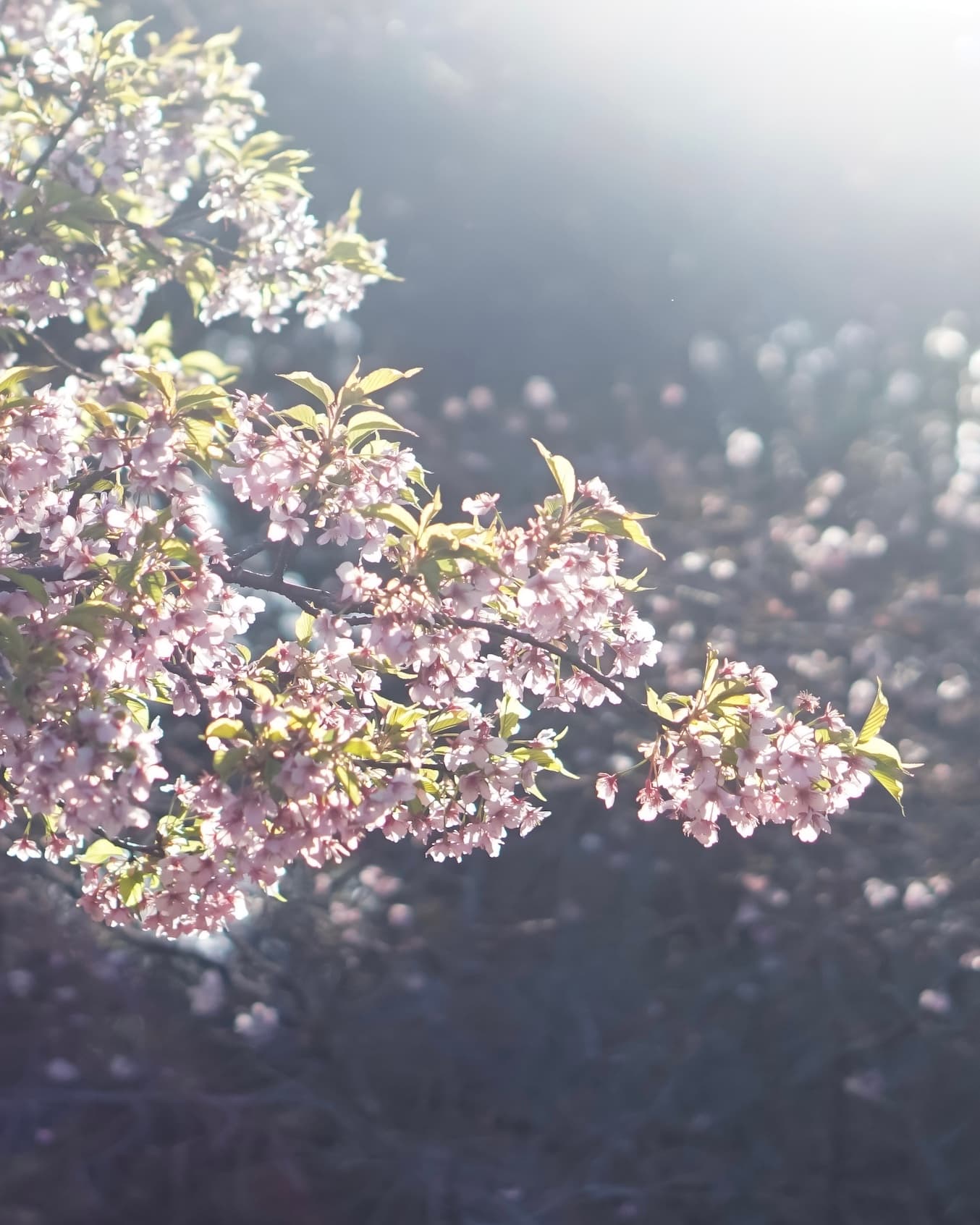 a64a297f-34de-4fda-9b5d-1f2faf45b69e