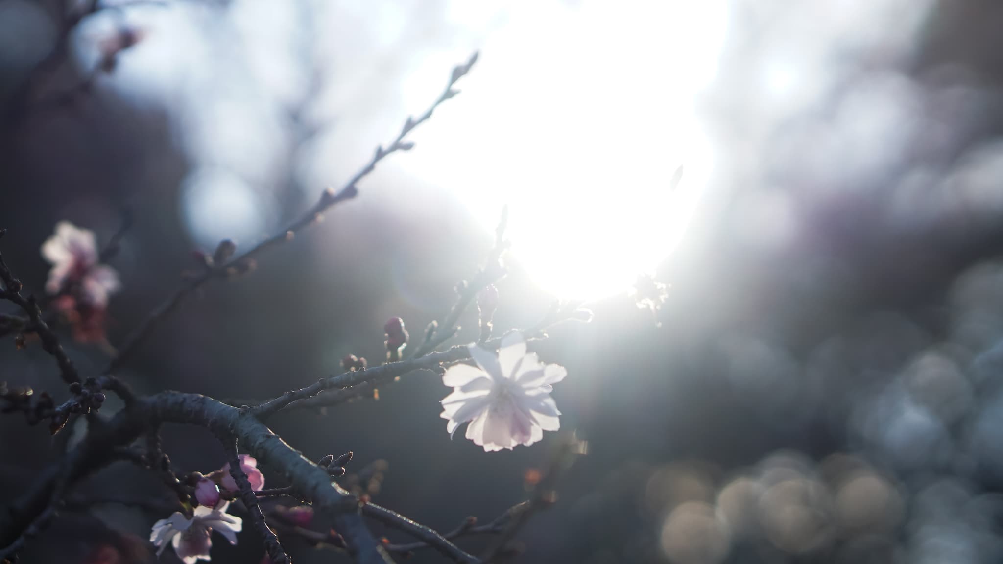 4462c59c-04ff-43f0-83f0-505b1dc741f9