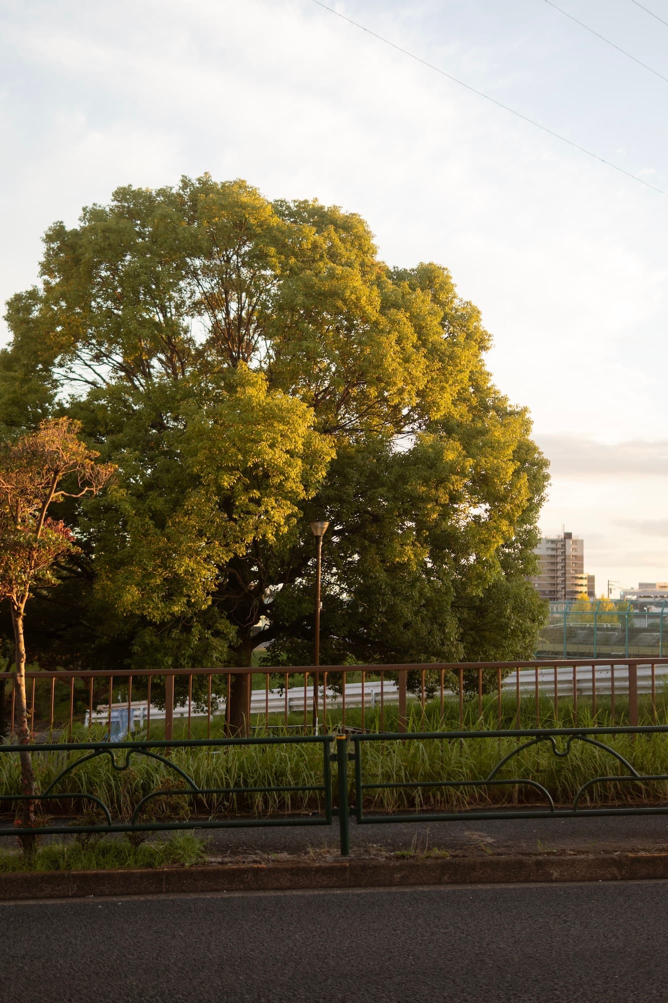 bac24915-2ca1-491d-b3d8-6f6683d6346c